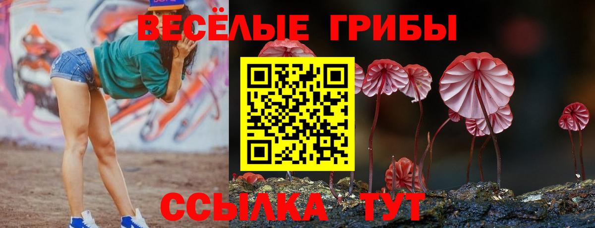 Галлюциногенные грибы MAGIC MUSHROOMS Острогожск